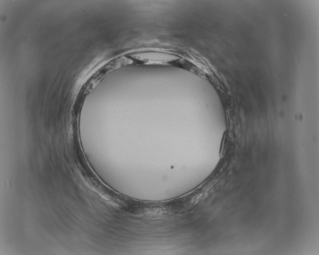 X0000077290344200611171633