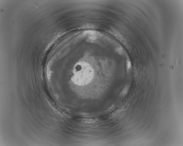 X0000077290347200611171633