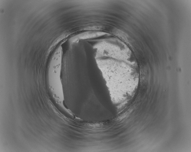 X0000077290349200611171633