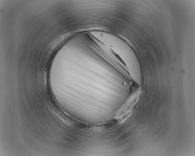 X0000077290350200611171633