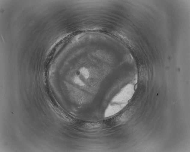 X0000077290351200611171633