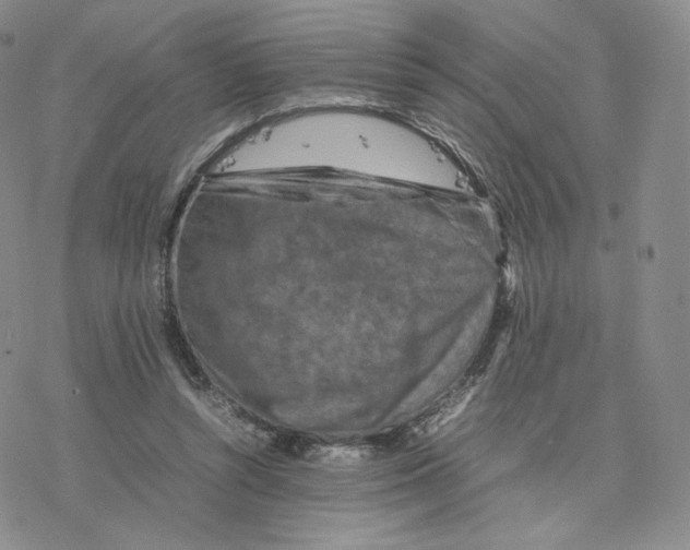 X0000077290352200611171633