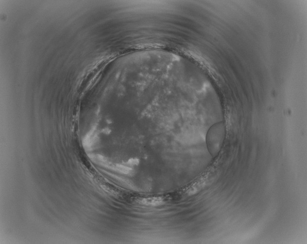 X0000077290353200611171633