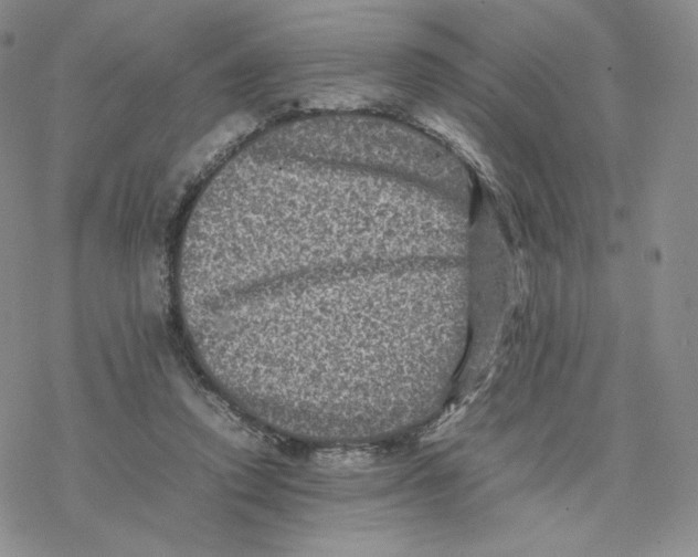 X0000077290354200611171633