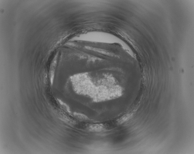 X0000077290355200611171633