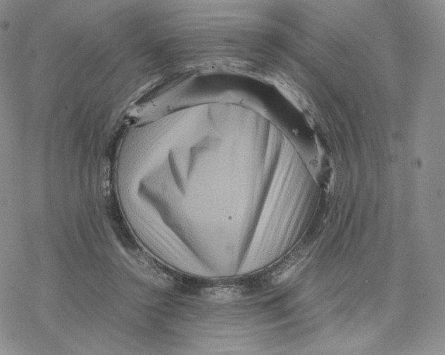 X0000077290356200611171633