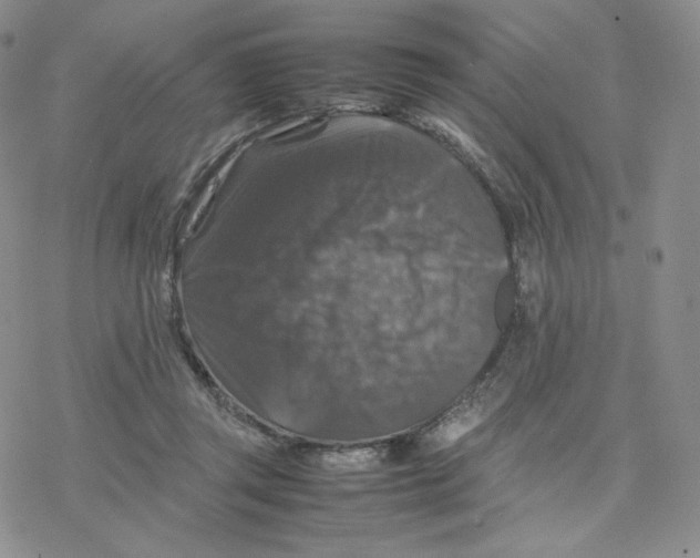 X0000077290357200611171633