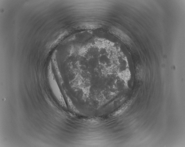 X0000077290358200611171633