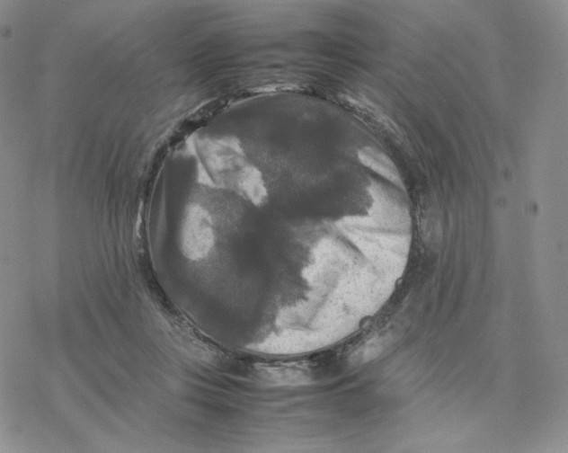 X0000077290359200611171633