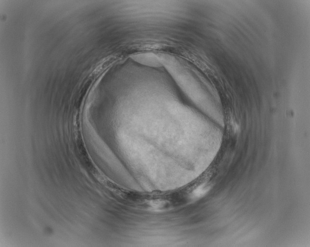 X0000077290360200611171633