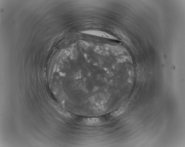 X0000077290361200611171633