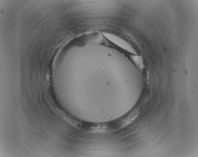 X0000077290362200611171633