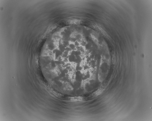 X0000077290363200611171633