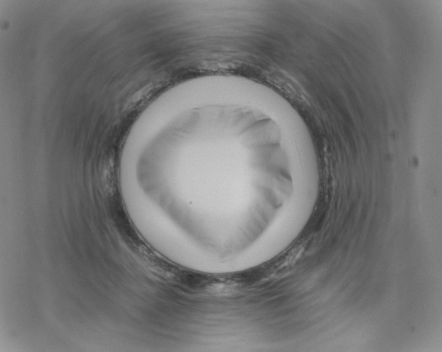 X0000077290364200611171633