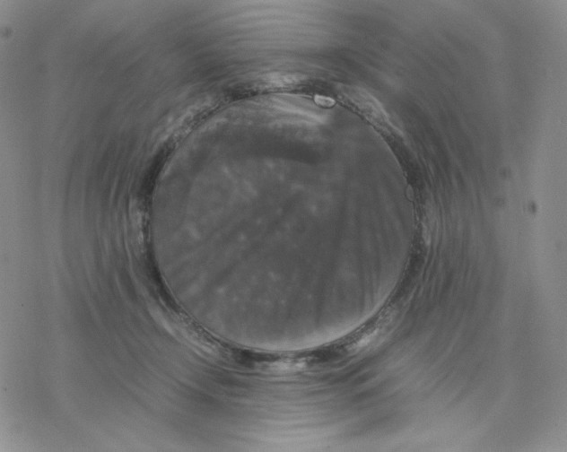 X0000077290366200611171633