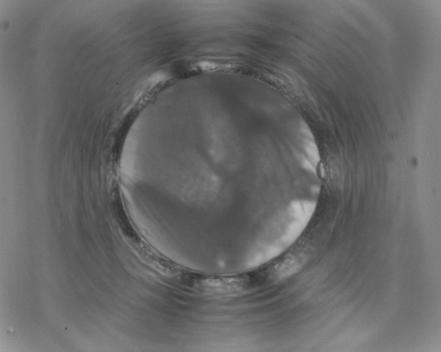 X0000077290367200611171633