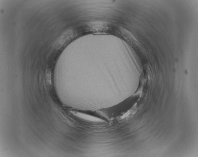 X0000077290368200611171633