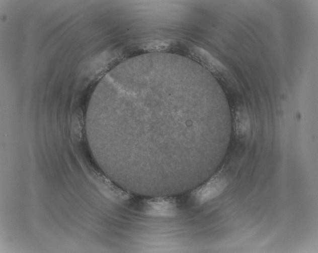 X0000077290370200611171633