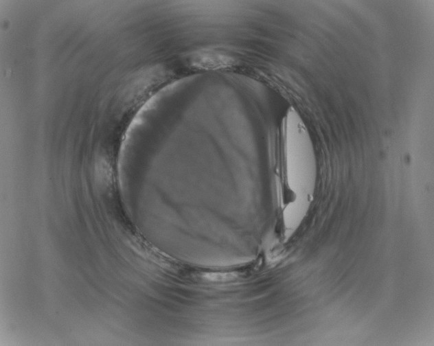 X0000077290371200611171633