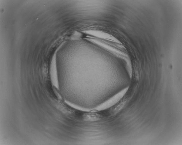 X0000077290372200611171633