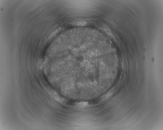 X0000077290374200611171633