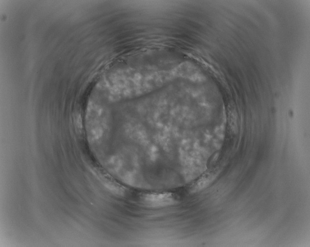 X0000077290375200611171633