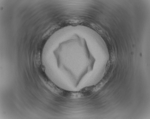 X0000077290376200611171633