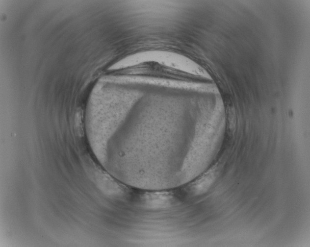 X0000077290378200611171633