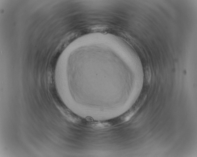 X0000077290379200611171633