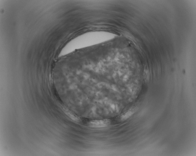 X0000077290381200611171633