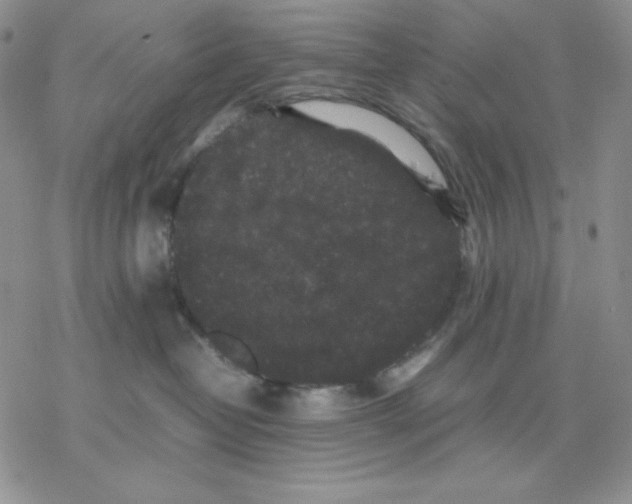 X0000077290382200611171633