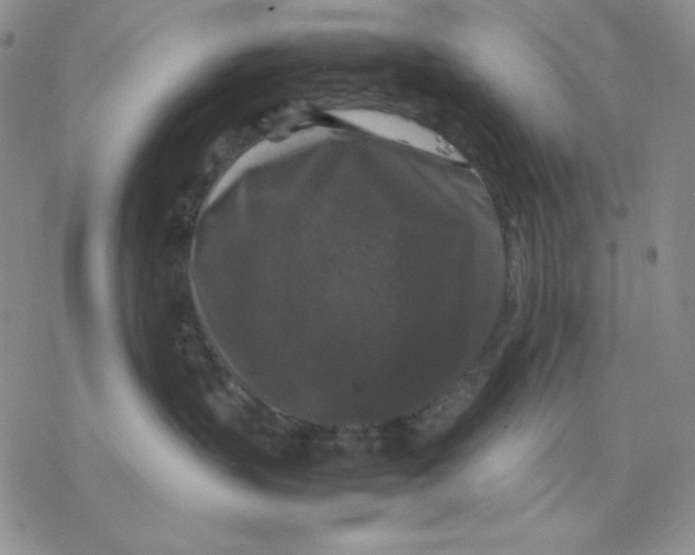 X0000077290383200611171633