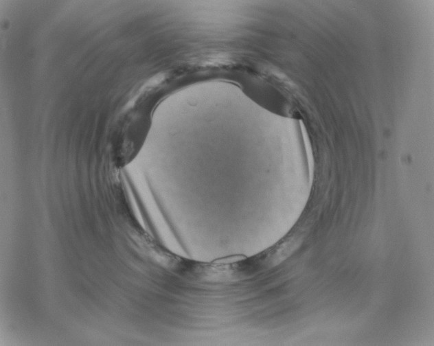 X0000077290384200611171633