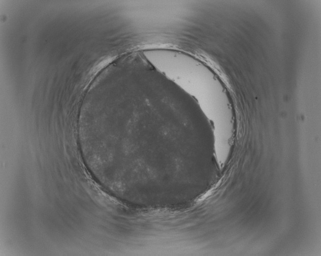 X0000077290385200611171632