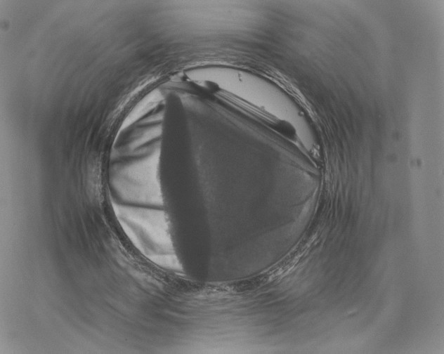 X0000077290386200611171632