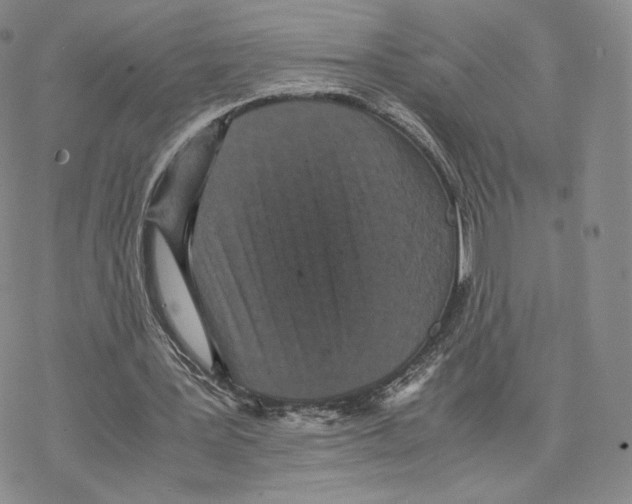 X0000077290387200611171632