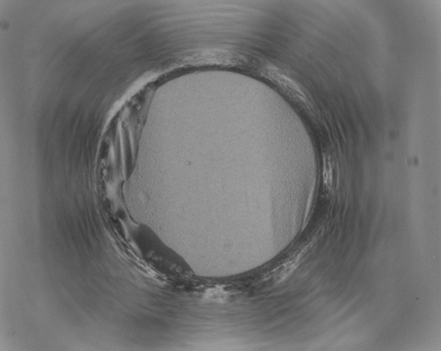 X0000077290388200611171632