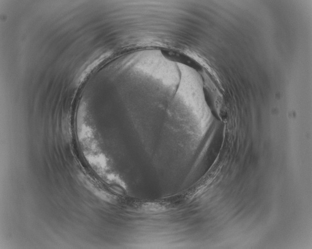 X0000077290390200611171632