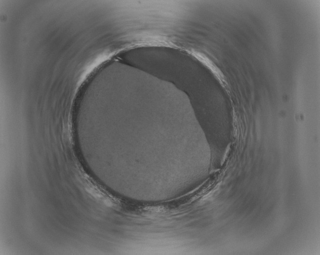 X0000077290391200611171632