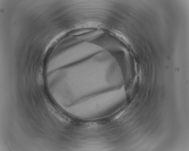 X0000077290392200611171632