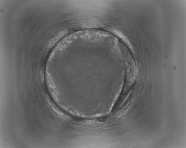 X0000077290393200611171632