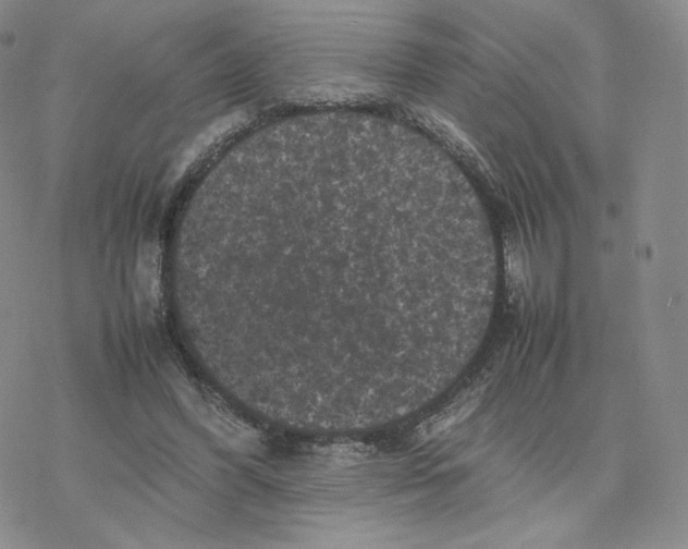 X0000077290396200611171632