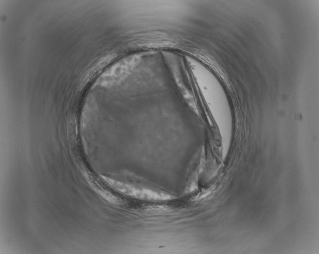 X0000077290397200611171632