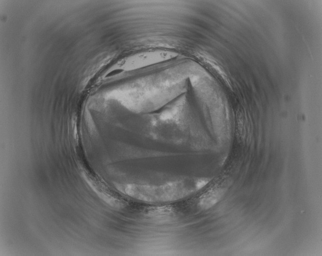 X0000077290398200611171632