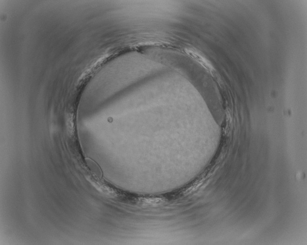 X0000077290401200611171632