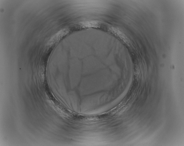 X0000077290402200611171632