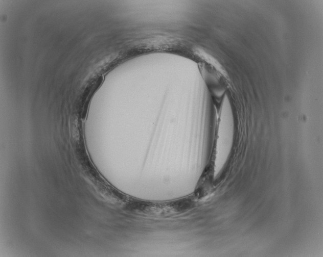 X0000077290403200611171632