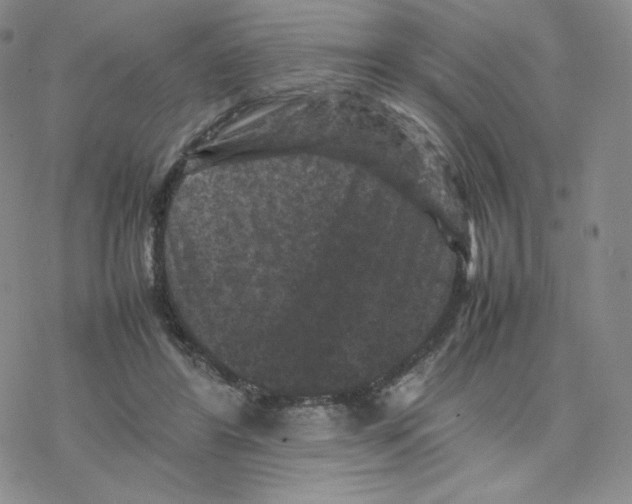 X0000077290404200611171632