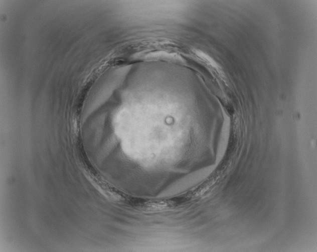 X0000077290405200611171632