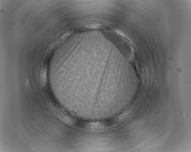 X0000077290406200611171632